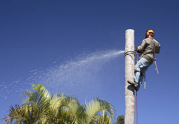 Mulching Services in Temple City, CA